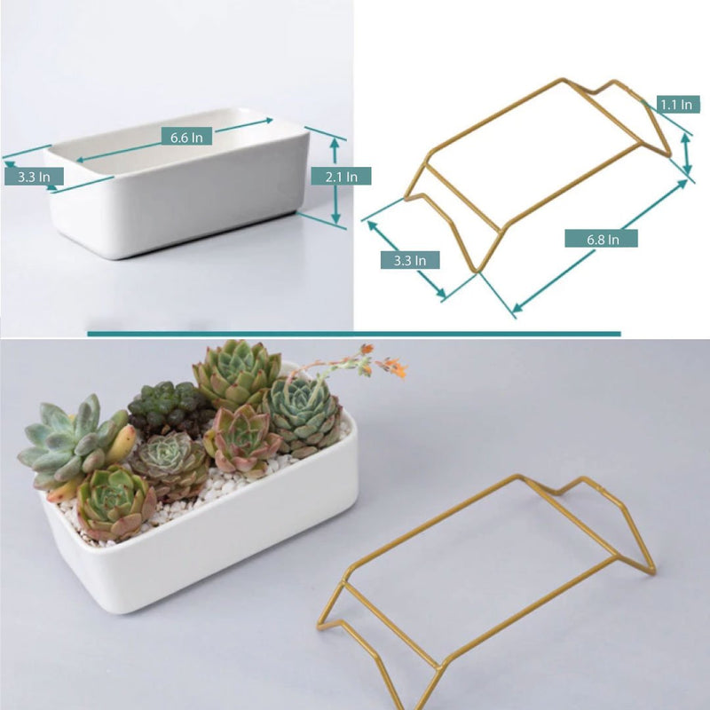 ClaudiaG Succulent Planter-Supported