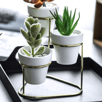 ClaudiaG Home Home Decor 3 in 1 Planter