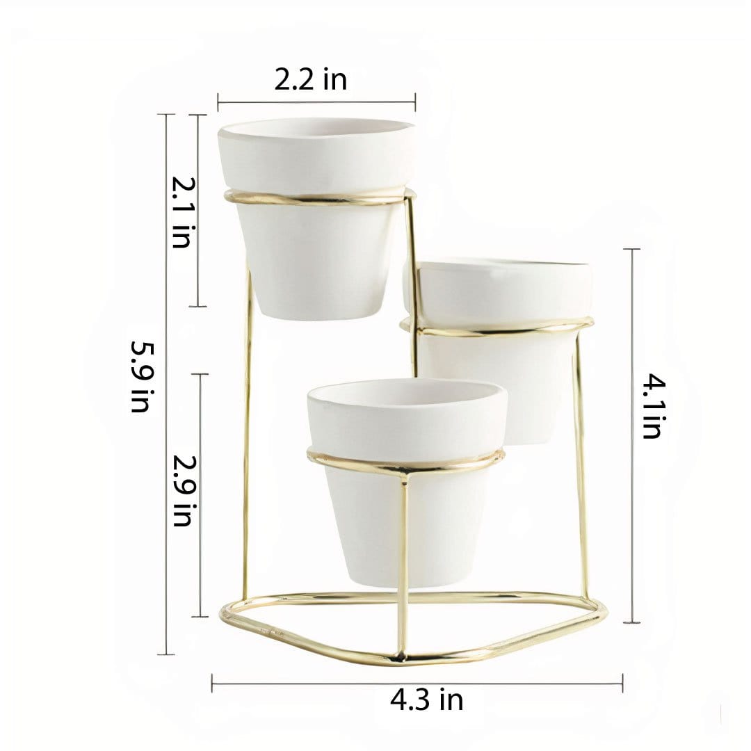 ClaudiaG 3 in 1 Planter