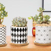 ClaudiaG B&W Planters Set of 3