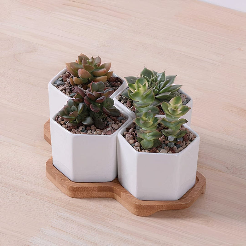 ClaudiaG Beehive Planter