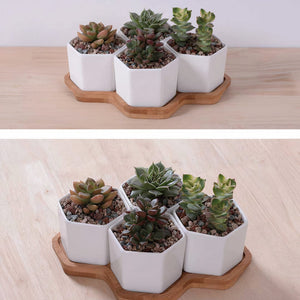 ClaudiaG Beehive Planter