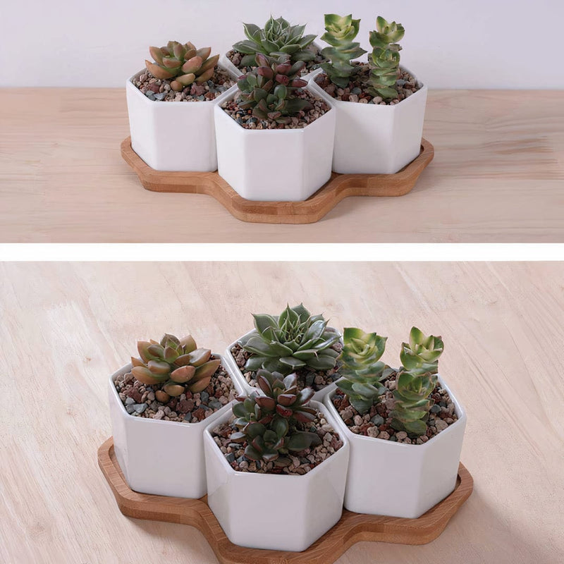 ClaudiaG Beehive Planter