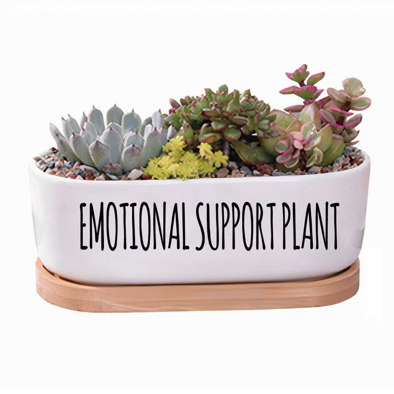 Message in a Planter - 7" Oval