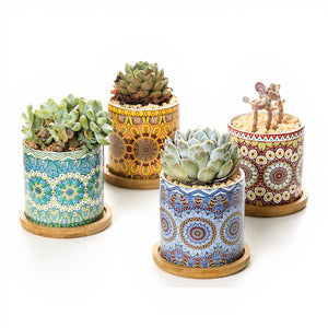 ClaudiaG Home Home Decor Mandala Planter Set of 4