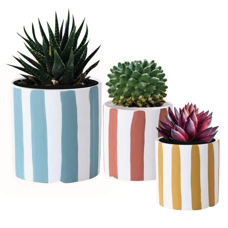 ClaudiaG Home Home Decor Playful Planters Set of 3