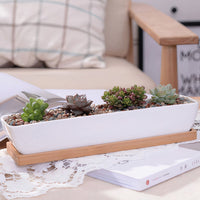 ClaudiaG Home Home Decor Succulent Planter-Long