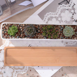 ClaudiaG Home Home Decor Succulent Planter-Long