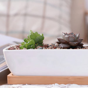 ClaudiaG Home Home Decor Succulent Planter-Long