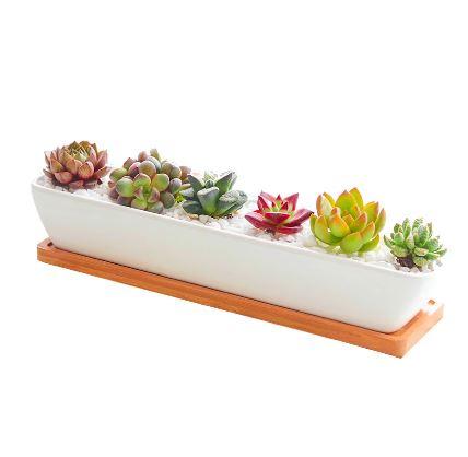 ClaudiaG Home Home Decor Succulent Planter-Long