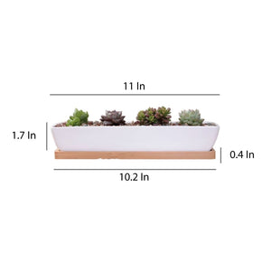 ClaudiaG Home Home Decor Succulent Planter-Long