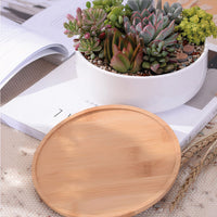 ClaudiaG Succulent Planter -Round