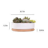 ClaudiaG Succulent Planter -Round