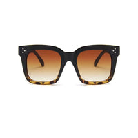 ClaudiaG Sunglasses Brown Adele Sunglasses