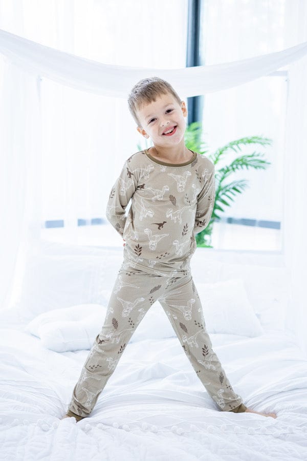 Eclipse Kids Pajamas VelociNAPtor - Long Sleeve 2 Piece Set