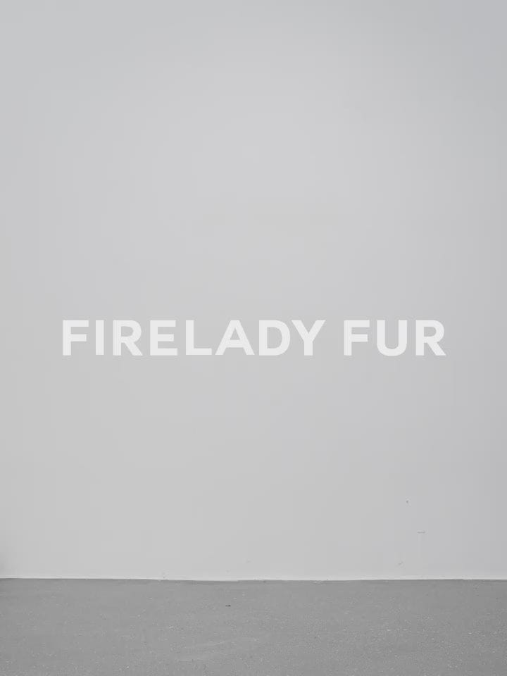 Fireladyfur Clothing Women's Fashion - Women's Clothing - Jackets & Coats - Real Fur "Casual Gene" Wide Shoulder Straight Fit Blue Mink Fur Patchwork With Contrasting Fox Fur Coat for Women