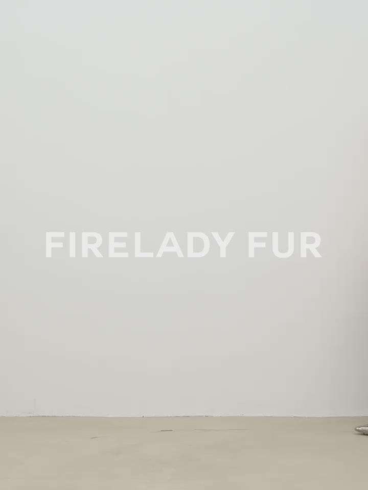 Fireladyfur Clothing Women's Fashion - Women's Clothing - Jackets & Coats - Real Fur "Double-Sided Fantasy" Simple Elegant Casual Double-Sided Tuscan Wool Sheepskin Fur Coat for Women