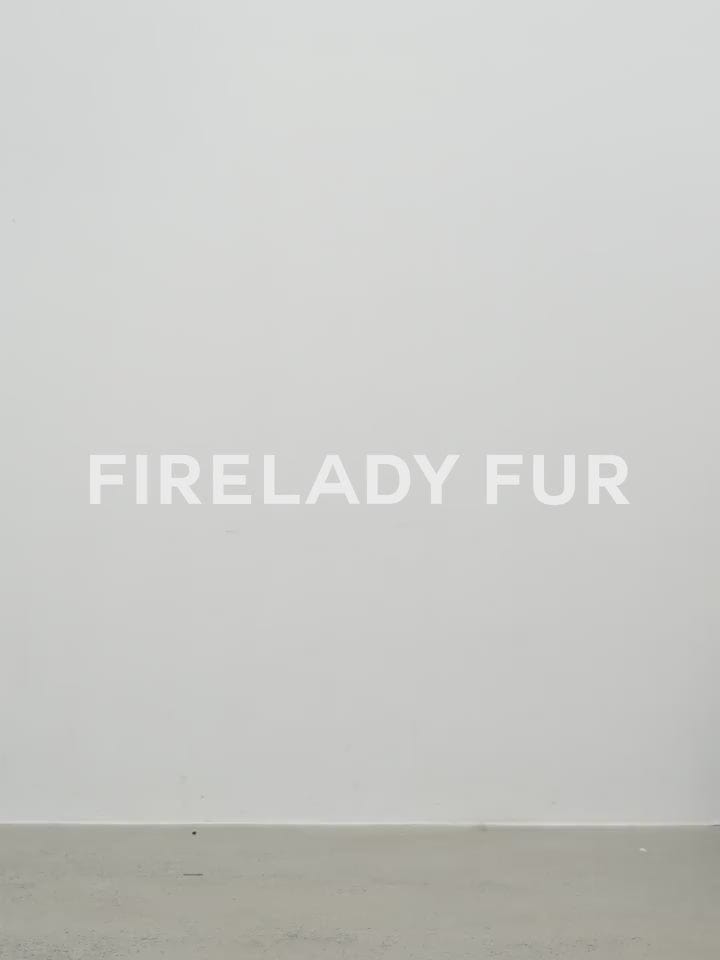 Fireladyfur Clothing Women's Fashion - Women's Clothing - Jackets & Coats - Real Fur “Manchester City Old Stories II”long Raccoon Fur Collar 90 Duck Down Parka