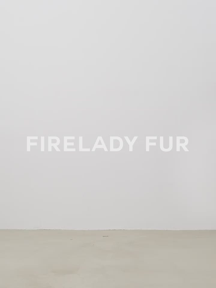 Fireladyfur Clothing Women's Fashion - Women's Clothing - Jackets & Coats - Real Fur Travel Notes Fashionable Warm and Fluffy Waterproof Outdoor Fox Fur Collar Removable Down Parka for Winter