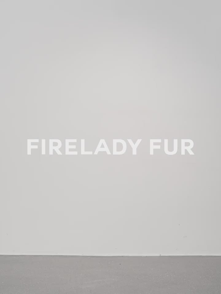Fireladyfur Clothing Women's Fashion - Women's Clothing - Jackets & Coats - Wool & Blends Blizzard Urban Luxury Two-Color Buff Lamb Coat