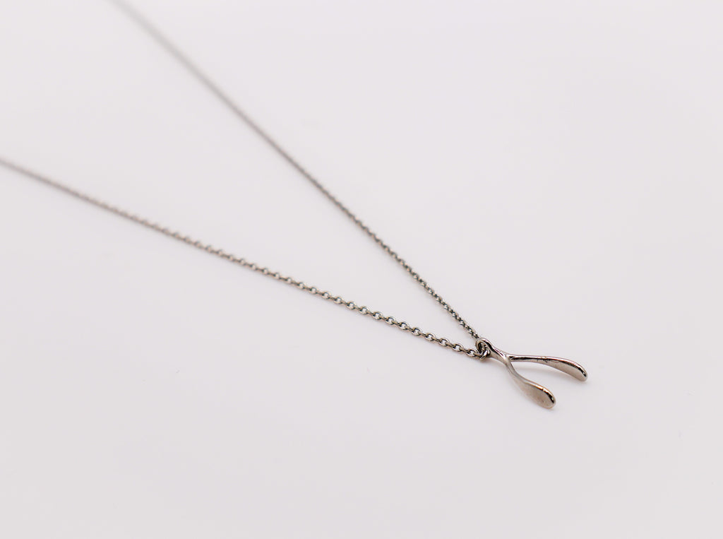 Le Réussi Necklace Silver silver Horseshoe necklace | Le Réussi