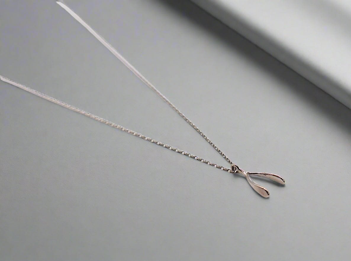 Le Réussi Necklace Silver silver Horseshoe necklace | Le Réussi