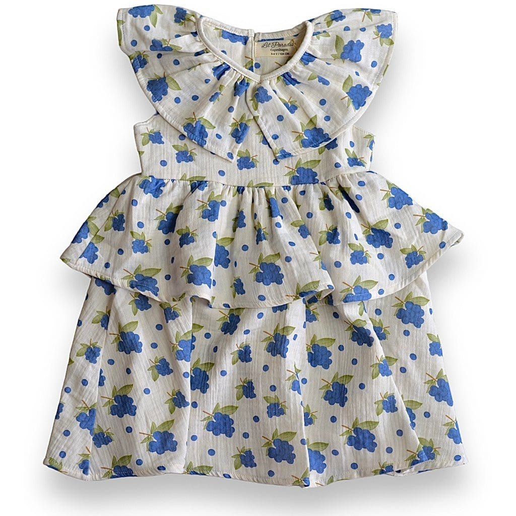 Lil' Paradise Copenhagen Kids & Babies - Mother & Kids - Boys' Baby Clothing - Clothing Sets Organic Blueberry Frill Dress
