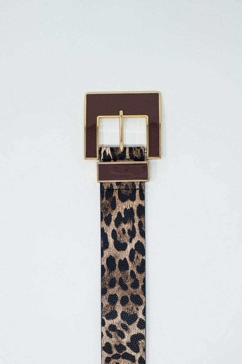 Q2 Women's Belt Wide Leopard Belt In Dark Brown With Black Square Buckle