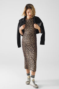 Q2 Women's Dress Sleeveless Leopard Print Spandex Dress