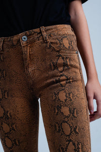 Q2 Women's Pants & Trousers Orange Skinny Pants in Snake Print