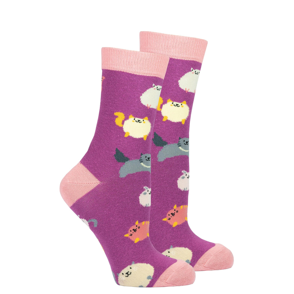 Socks n Socks Women's Fashion - Women's Intimates and Loungewear - Women's Socks & Hosiery - Socks One Color / One Size Women's Fatty Cats Socks