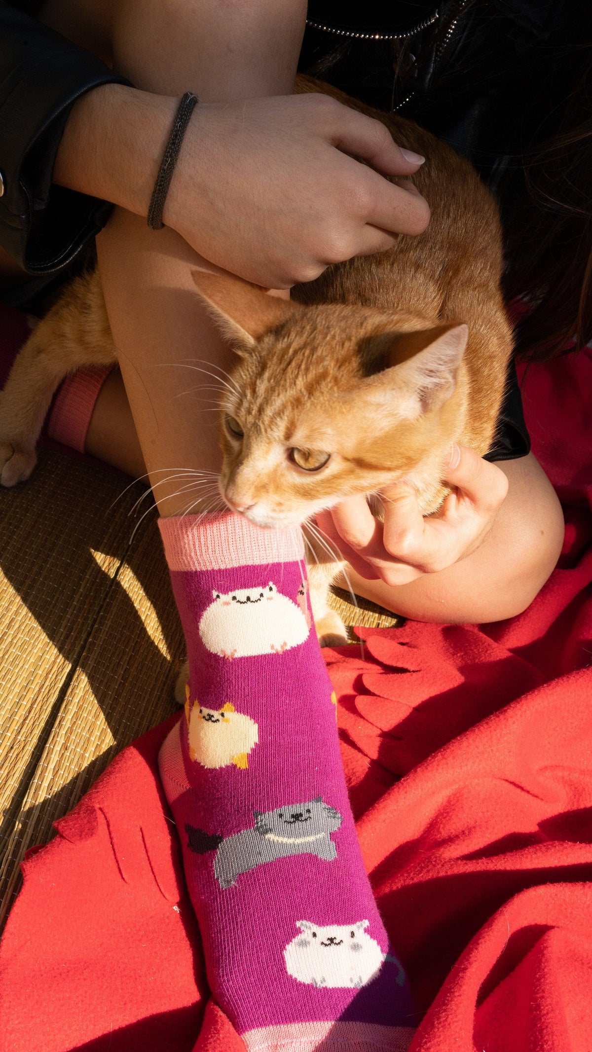 Socks n Socks Women's Fashion - Women's Intimates and Loungewear - Women's Socks & Hosiery - Socks One Color / One Size Women's Fatty Cats Socks