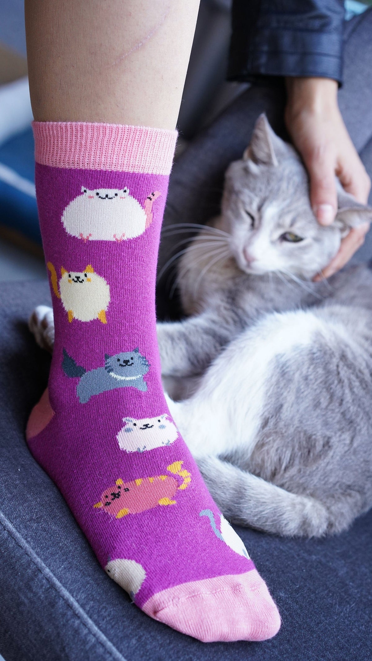 Socks n Socks Women's Fashion - Women's Intimates and Loungewear - Women's Socks & Hosiery - Socks One Color / One Size Women's Fatty Cats Socks
