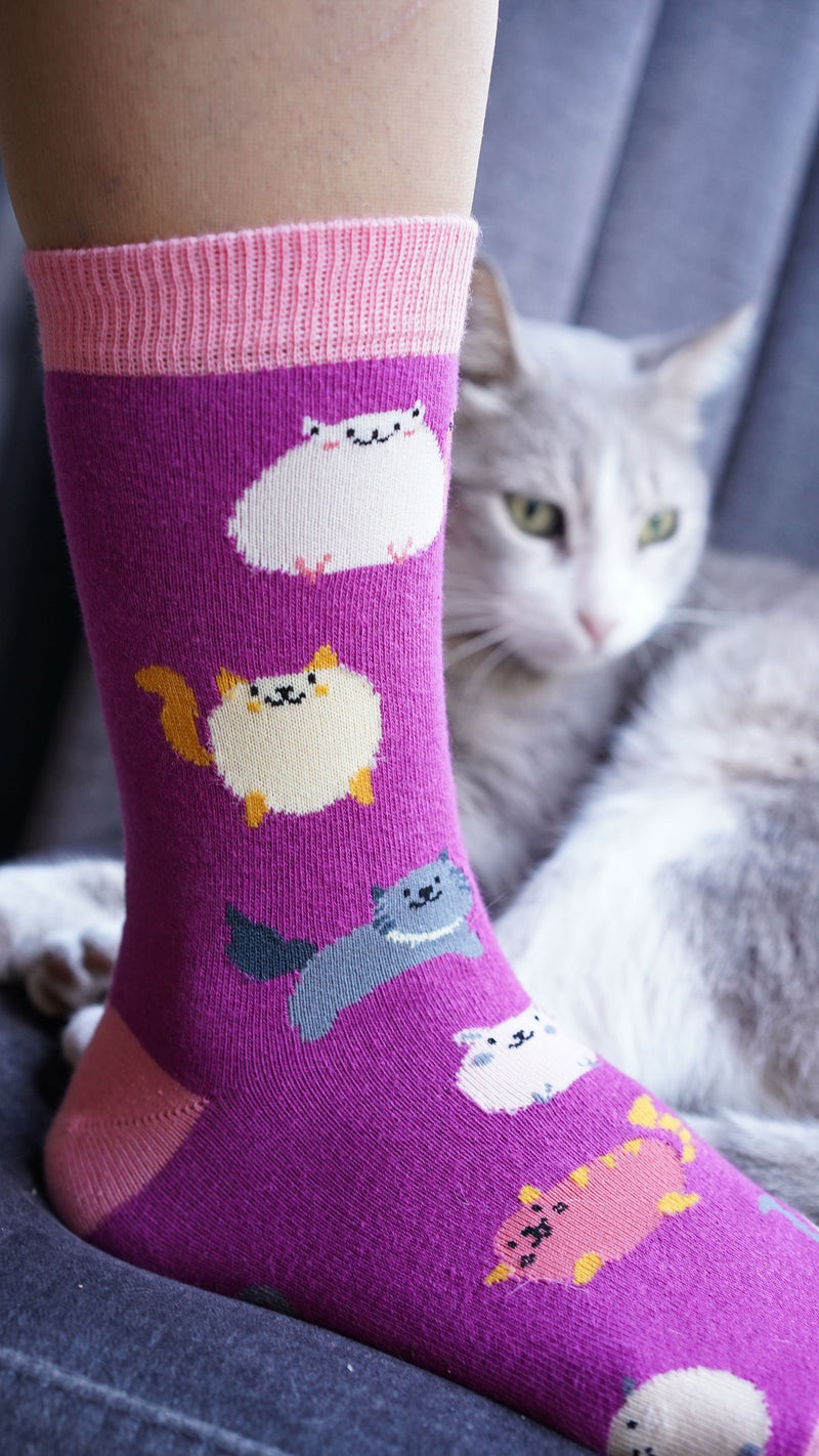 Socks n Socks Women's Fashion - Women's Intimates and Loungewear - Women's Socks & Hosiery - Socks One Color / One Size Women's Fatty Cats Socks