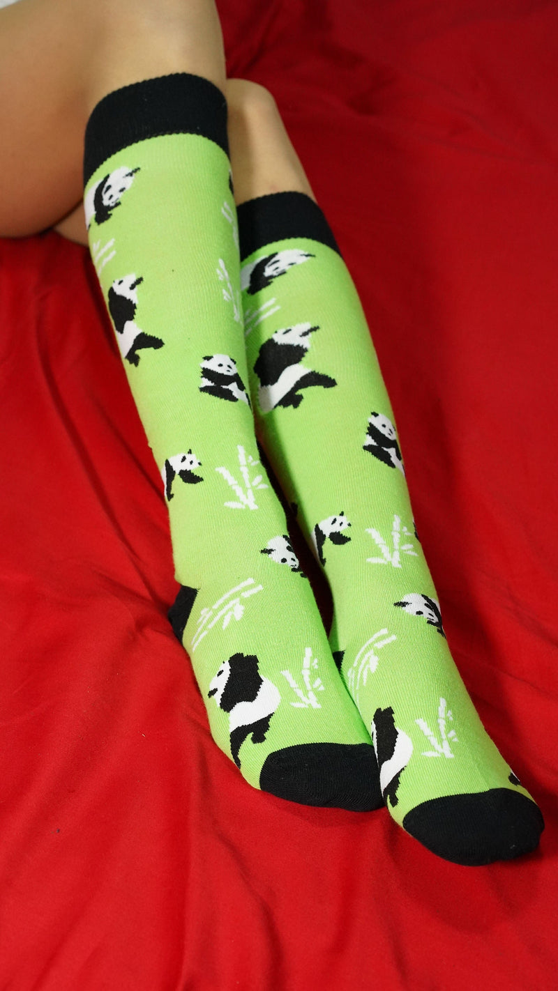 Socks n Socks Women's Fashion - Women's Intimates and Loungewear - Women's Socks & Hosiery - Socks One Color / One Size Women's Silly Panda Knee High Socks