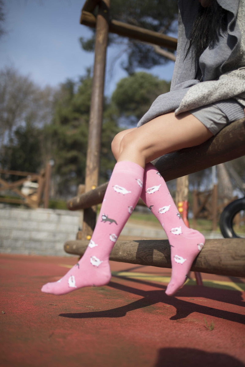 Socks n Socks Women's Fashion - Women's Intimates and Loungewear - Women's Socks & Hosiery - Socks Women's Cute Animals Knee High Socks Set