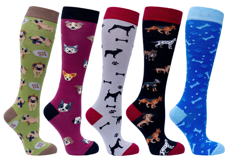 Socks n Socks Women's Fashion - Women's Intimates and Loungewear - Women's Socks & Hosiery - Socks Women's Cute Dogs Knee High Socks Set