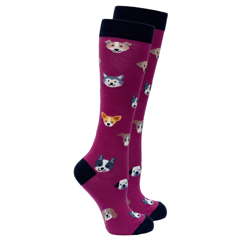 Socks n Socks Women's Fashion - Women's Intimates and Loungewear - Women's Socks & Hosiery - Socks Women's Cute Dogs Knee High Socks Set