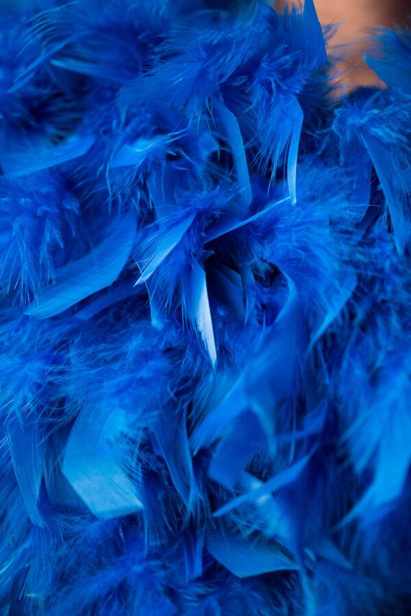 Lavanya Coodly Vest Lavanya Coodly Women's Laura Ostrich Feather Vest in Blush or Blue