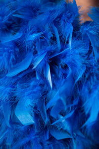 Lavanya Coodly Vest Lavanya Coodly Women's Laura Ostrich Feather Vest in Blush or Blue